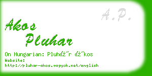 akos pluhar business card